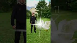 КАК ВЫЖИТЬ ПРИ АТАКЕ ГУСЯ