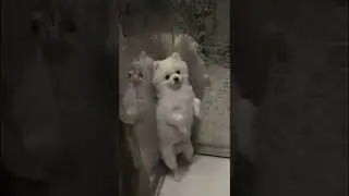 Getting cocky when the distance is right 🤣