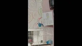 Злобная Ксюша.
