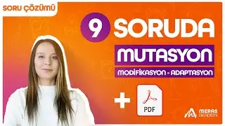 9 Soruda Mutasyon, Modifikasyon, Adaptasyon | LGS 2025