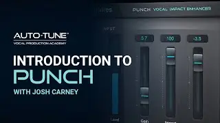 Tutorial: Introduction to AVOX Punch with Josh Carney
