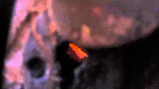 MVI 2371
