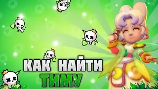 Как найти крутую тиму в бравл старс 👍