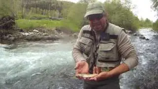Pesca a mosca en Camprodon