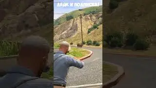 ЛУЧШИЙ ОХОТНИК ШТАТА САН АНДРЕАС GTA 5 RP