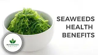 Seaweeds Health Benefits | Buy Organics Online