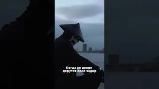 23 августа 2024 г.