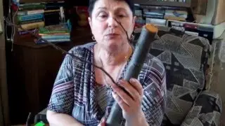 Самая простая прививка - за кору (получится у всех)