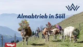 40 Jahre Almabtrieb in Söll
