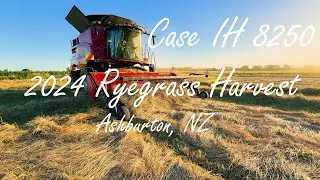 2024 Ryegrass Harvest with Case IH 8250 at Ashburton, NZ