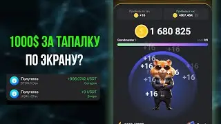 НОВЫЕ ИНСАЙДЫ Hamster Kombat! САМАЯ БЫСТРАЯ ПРОКАЧКА. КАК ЗАРАБОТАТЬ ПОСЛЕ НОТКОИНА?