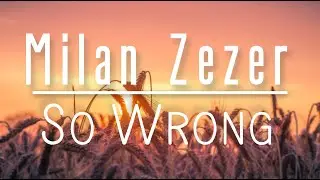 Milan Zezer - So Wrong | FUTURE HOUSE