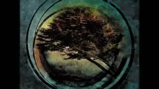 Tides from Nebula - Tragedy of Joseph Merrick