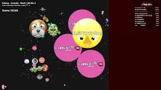 Cell.sh | Clips Octubre - Noviembre