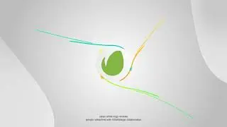 Clean Line Logo Reveals - After Effects Template