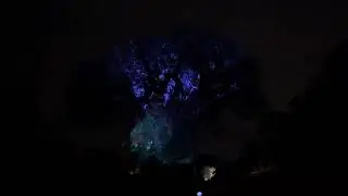 Tree of Life Awakenings: Disneys Animal Kingdom 2024