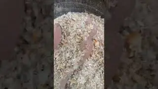 tumpi jagung