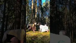 #therian