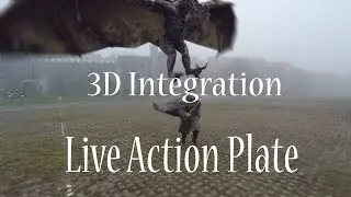 DRAGON - Max & After Effects-