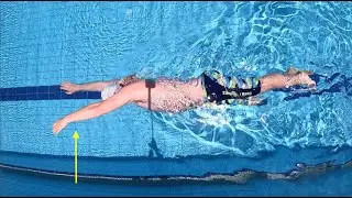 Learn To Swim - Step 5: Freestyle Recovery