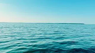 🌊