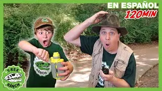 El desafío de Halloween en Dino HQ | 🦖 T-Rex Rancho | Moonbug Kids - Parque en Vivo!