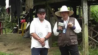 Cultivation of chontaduro