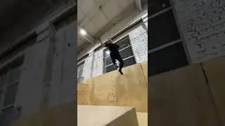 Сколько сальтух насчитали? 😯 