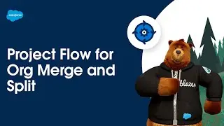 Project Flow for Org Merge and Split | Expert Coaching