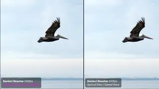 Best Slow Motion Retiming? Resolve vs Final Cut Pro vs Twixtor | Ming Effect Flight of Pelican