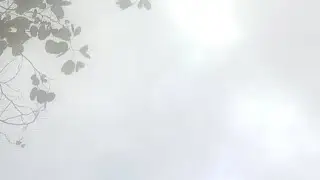 merveil moke nécropole