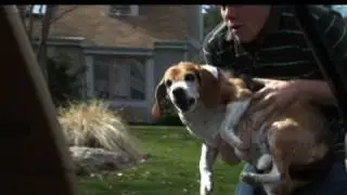 Dognapper