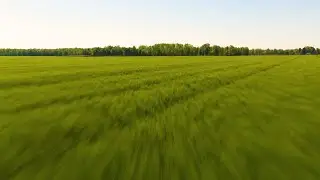 Lake Erie Aerial 4K