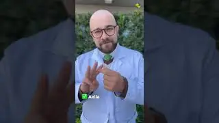 AGOSTO VERDE - Linfomas