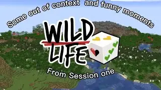 Wild life funny and out of context moments