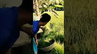 Funny prank || Funny Short Videos || Comedy #shorts