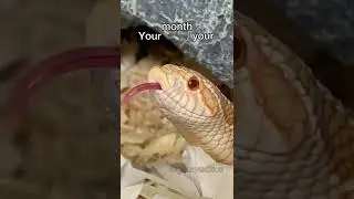 YOUR MONTH YOUR FINGIES PART 2  