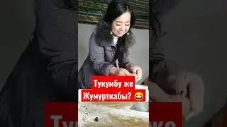 Тишин барда таш чайна 🤣