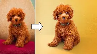 The Easiest Way to Turn Your Photo into a Painting
