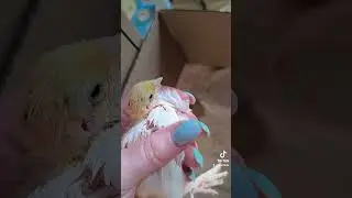 ужас что случилось