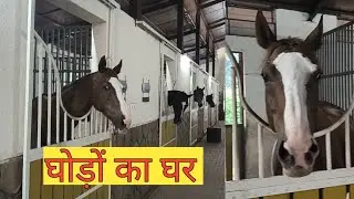 Horse warehouse | Horse riding | mini vlog | Aniket kakpure vlog 