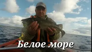 За треской на Белое море.
