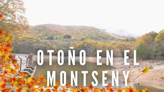 Otoño en el Montseny | Bosques, cascadas y colores mágicos