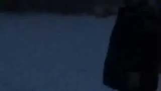 Котёнок выдры