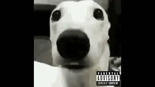 kevin macleod type beat