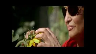 Ozan ŞahTurna - Sazım Beni Tanır Ancak (Official Video)
