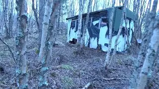 #металлокоп2022#копметалла КОП ПО СТАРЫМ МЕСТАМ.ХИЖИНА В ЛЕСУ.ДИКИЕ ЖИВОТНЫЕ.
