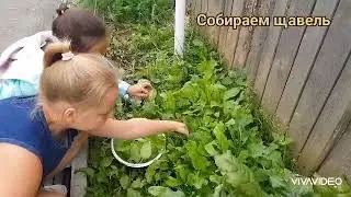 Готовим суп🥣 | рецепты🥘