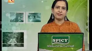 തലച്ചോറിനെ ബാധിക്കുന്ന അണുബാധകൾ  | Health News:Malayalam | 11'th Jan 2019