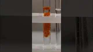 Про корректоры 